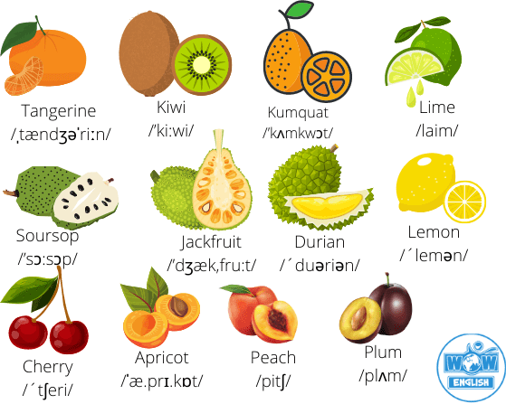 Các loại hoa quả trong Tiếng Anh 2