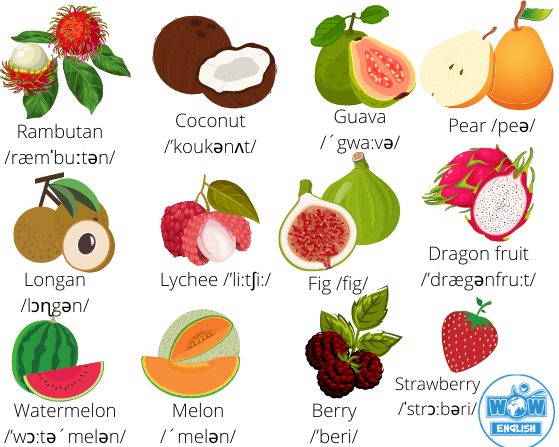 Các loại hoa quả trong Tiếng Anh 3