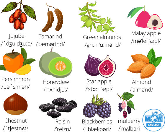 Các loại hoa quả trong Tiếng Anh 5