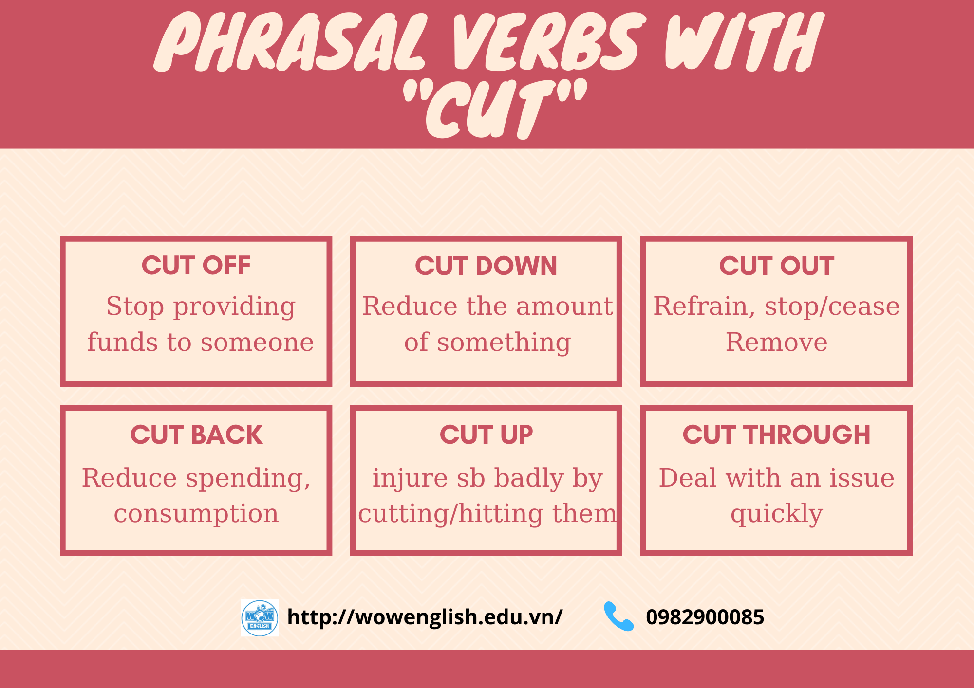 Cut Back On - Ý Nghĩa, Cách Sử Dụng và Ví Dụ Thực Tế