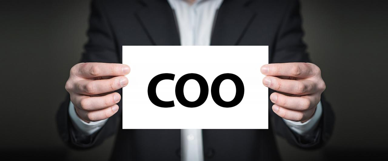COO là chức danh gì? Sự khác nhau giữa COO, CEO, CFO, CPO Những vị trí trong 1 tổ chức bằng Tiếng Anh