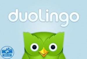 Duolingo, phương pháp tự học tiếng Anh online được khá nhiều người ưa chuộng